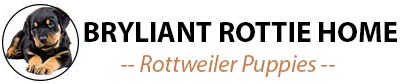 Bryliant Rottie Home